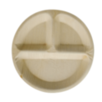 Chat Plate 10R