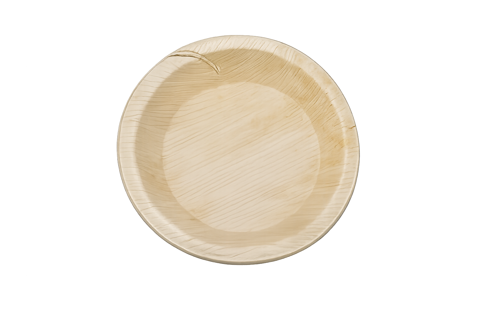 Snacks Plate 6R